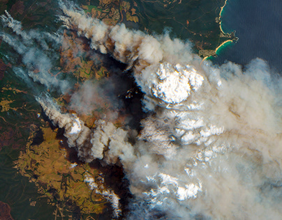 Можно ли делать УЗИ при ОРВИ