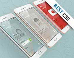 iPhone проиграл конкуренцию в Китае