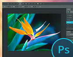 ИИ-поиск в Google Фото провалился  распространение функции заморозили и отправили на доработку